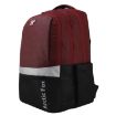 Picture of Arctic Fox Merit Tawny Port Backpack