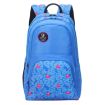 Picture of Arctic Fox 31 Litres Lama Directorie Blue Backpack
