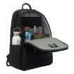 Picture of Arctic Fox 27 Litres Zinc Black 15 Inch Laptop Backpack