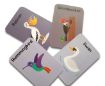 Picture of Birds Flash Cards for Kids (Pack of 24)