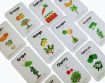 Picture of Fruits and Vegetables Flashcards - Pack of 24