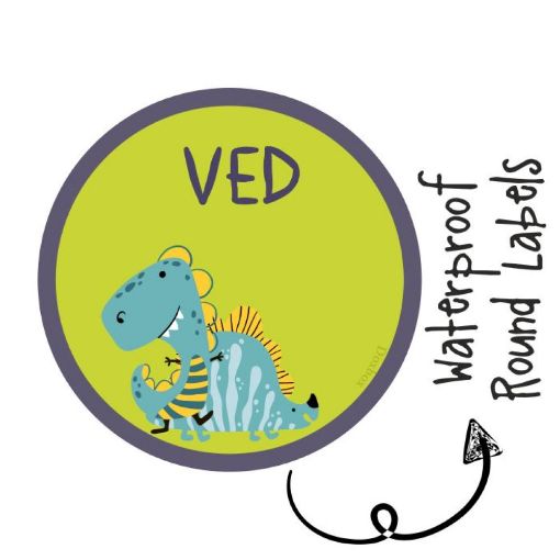 Picture of Personalised Round Labels - Dino Colours (Pack of 77)